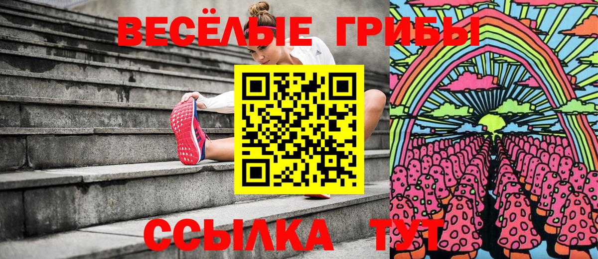 Псилоцибиновые грибы Magic Shrooms Кольчугино