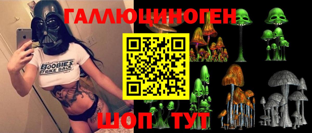 где продают наркотики  Вход с VPN  Кольчугино  Псилоцибиновые грибы Psilocybine cubensis 