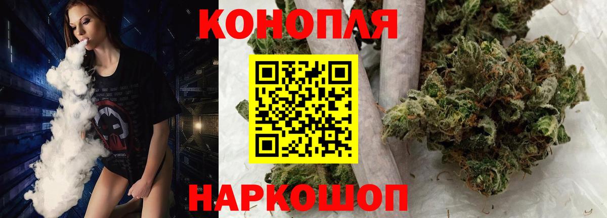 Каннабис план Кольчугино